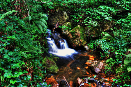 Tiny Falls - leaves, water, falls, bushes