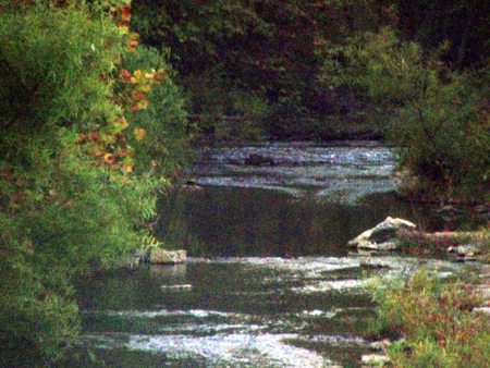 Heavystream - nature, autumn, creek, river