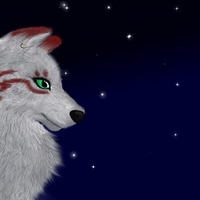 the wolf of many scars