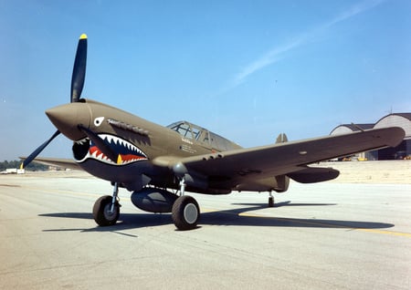 P-40 Warhawk - airplane, p-40e, p-40, warhawk, plane, ww2, p40e, wwi, curtiss, p40