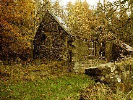 Cottage Reclaimed - cottage, home, trees, ruins, forest, house, grass