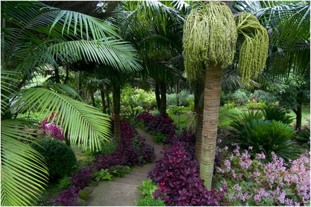 escadas - nature, trees, forest, flowers, garden