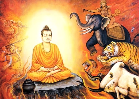 India religion - religion, india, asia, animals, buddha