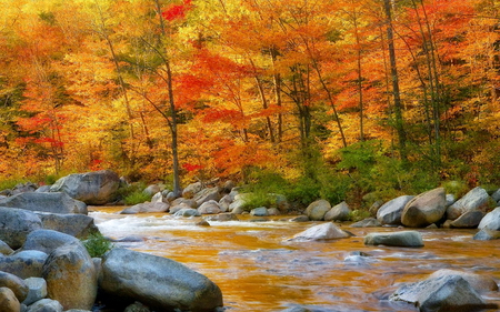 Lifeline - autumn, landscape, stream, colorful, water, nature, river, beautiful, splendor, stones, colors, color