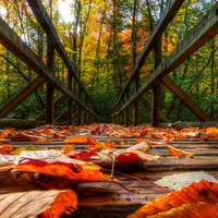 Autumn-HDR