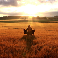 Happy Woman In Golden Wheat Field