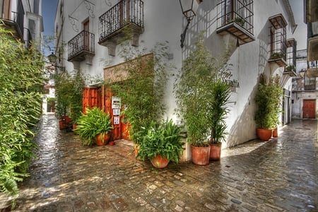 Stone Walkways - stone, walkways, houses, bushes