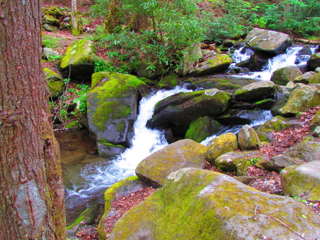 Stream in Gatlinburg - nature, gatlinburg, streams, scenic