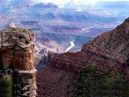 Way Down - stream, tree, canyon, sky