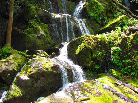 Small Waterfalls In Tennesee - breath taking, nature, gatlinburg, beautiful