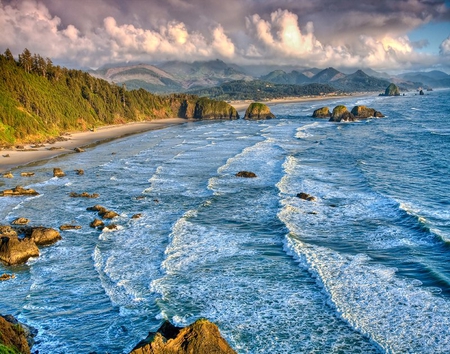 Cannon Beach - water, beach, ocean, tree