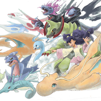 Iris & Pokemon Team