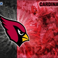 Arizona Cardinal