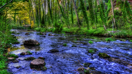 Dream a Little Stream - trees, water, nature, blue, green, flowing, creek, beauty