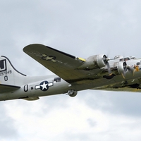 Liberty Belle
