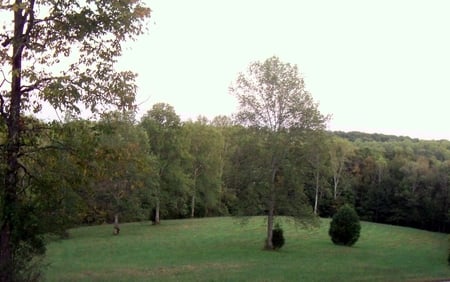 Crosstop - hill, fall, forest, valley