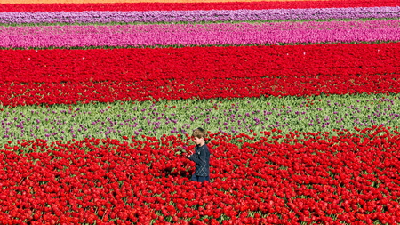 In the midst of nature's bounty..... - purple, pink, red, gathering, boy, field, flowers