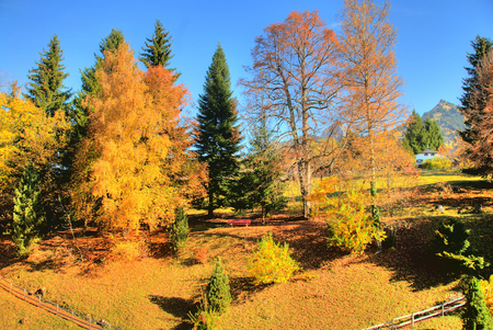 Beauty of autumn - beauty, hill, autumn, sky, landscape, background, trees, popular, image, other, country, nature, view, fall, yellow