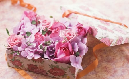 Beauty and love for my friends - beauty, love, roses, gift, purple, box, friendship, ribbon, flowers, friends, harmony