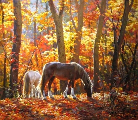 Horses in the quiet   woods - quiet, trees, yellow, landscape, gold, colors, leaves, nature, horses, autumn, colored, animals, woods