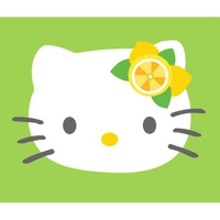 hello kitty for sandrose