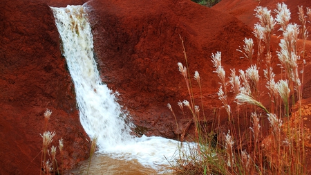 rushing falls - nature, photography, red, water, waterfall