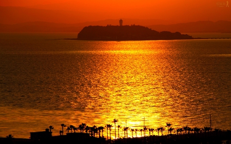 GOLDEN DUSK - beach, palms, sunset, island