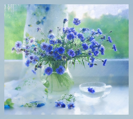 Tiny blue flowers - blue, cloth, window, photography, beauty, still life, flowers, water drops, cup