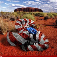 INDEPENDENCE SNAKE