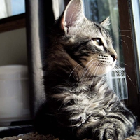 looking out....