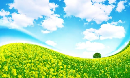 Sky - nature, sky, beautiful, blue, tree, flowers