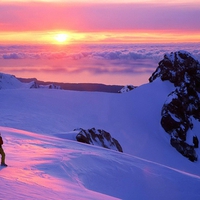 Franz Josef Glacier New Zealand