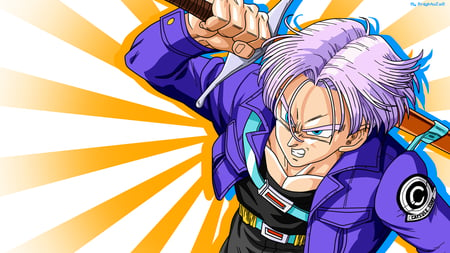 Future Trunks - budokai, anime, trunks, games, dbz, future