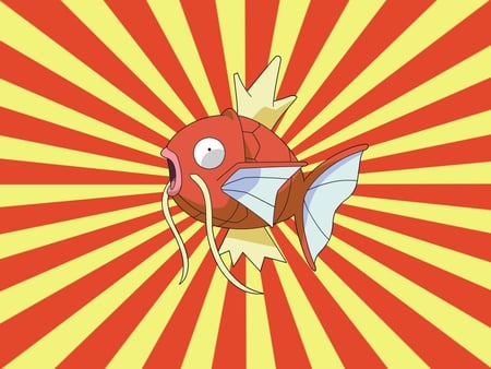 Magikarp - water, fish, pokemon, magikarp