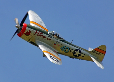 Hun Hunter XVI - xvi, p-47, ww2, hun, plane, antique, p47, thunderbolt, wwii, republic, classic, hunter