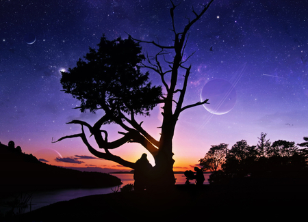 Purple Night - moon, beauty, stars, landscape, sun, sunset, nature, purple, dark, beautiful, tree