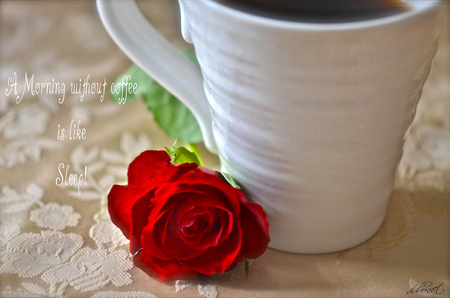 Coffee Time - red rose, black coffee, still life, cup