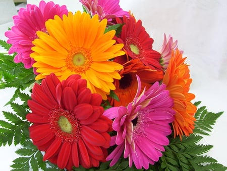 GERBERAS BOUQUET - flowers, gerberas, nature, bouquet