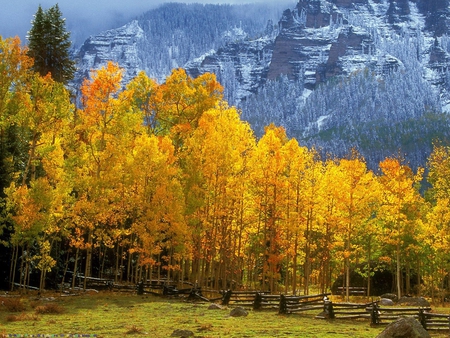 AUTUMN IN THE MOUNTAINS - orange, mountains, nature, autumn