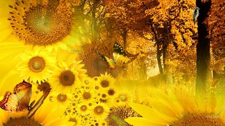 Fade to Fall - autumn, sunflowers, trees, fall, butterfly, leaves, flowers, firefox persona, butterflies