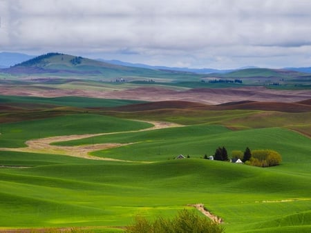 Opened Field - field, sky, house, mountain