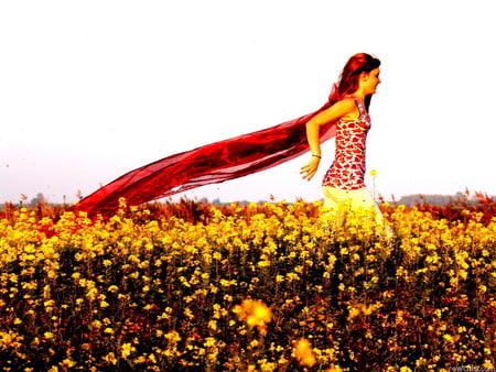 Flower girl for Luiza (dreamer girl) - woman, nature, people, girl, field, flower