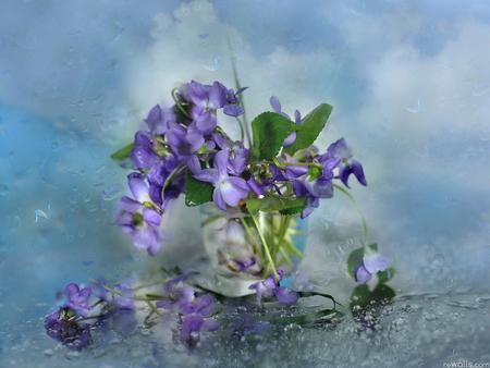 Purple still life - flower, still life, nature, petal, blue