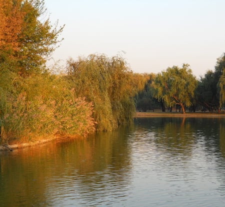 Autumn - lake, water, park, autumn