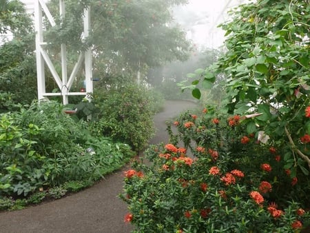 Into The Garden - flowers, sky, plants, pathway