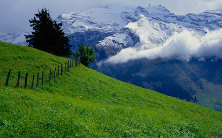 Contrasts - fence, mountains, landscape, grass