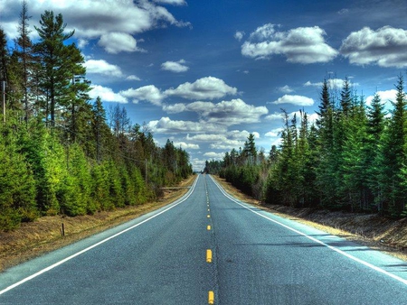 Down The Road Again - road, straight, trees, sky