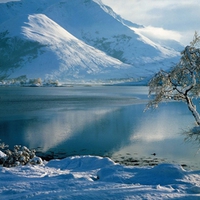 Frosty Mountains