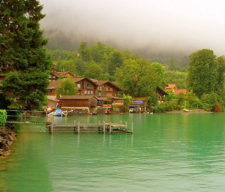 Lake in Switzerland - lake, greenery, houses, trees, switzerland, dock, green