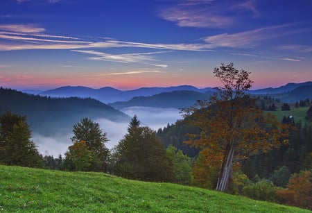 Autumn colors - sky, mountains, scenery, nature, autumn